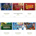Svedala-casino-erbjuder-stort-spelutbud