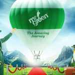 mr-green-snapshot